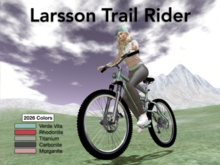 Bicycle Fun! Larsson Trail Bike For Roads, Pathways and Mountain Terrain!