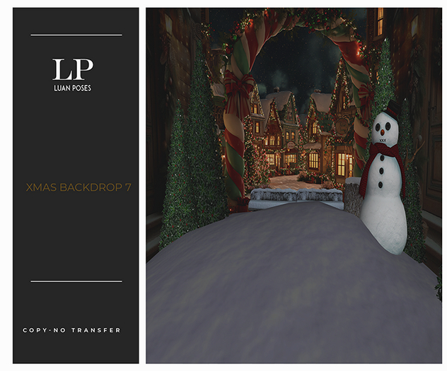 Luan Poses Xmas Backdrop 7