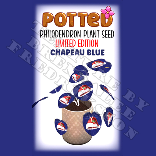 Potted: Starter Philodendron Plant Seed: LE Chapeau Blue (ACTUAL PLANT SEED)