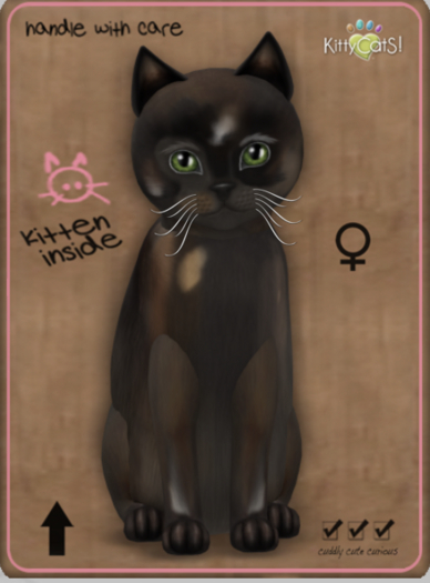 KittyCatS Box - Genesis - Coco V Female