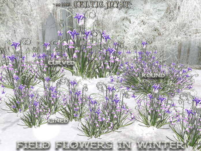 ✰:*´¨*WinterMagic*¨´*:✰ *~ FieldFlowers in Winter ~* ☃Promo pack☃