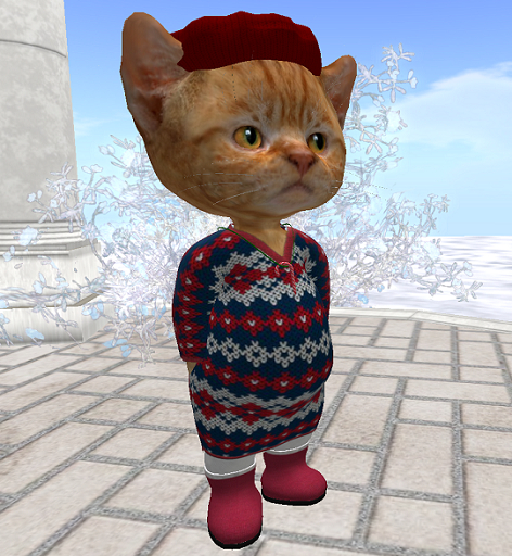 Dinkie Sweater Dress RWB