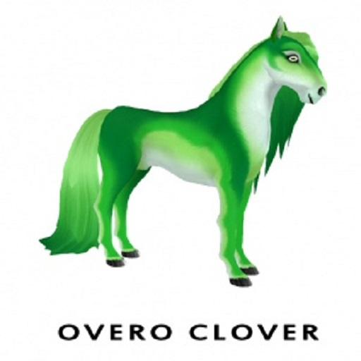 Overo Clover F