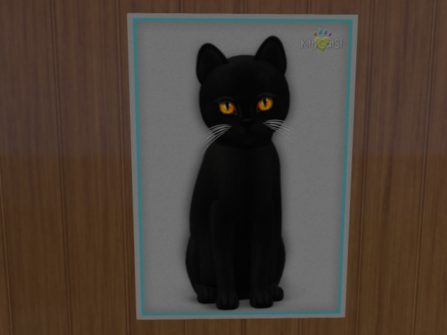 KittyCats - Amram - Perma-Pet