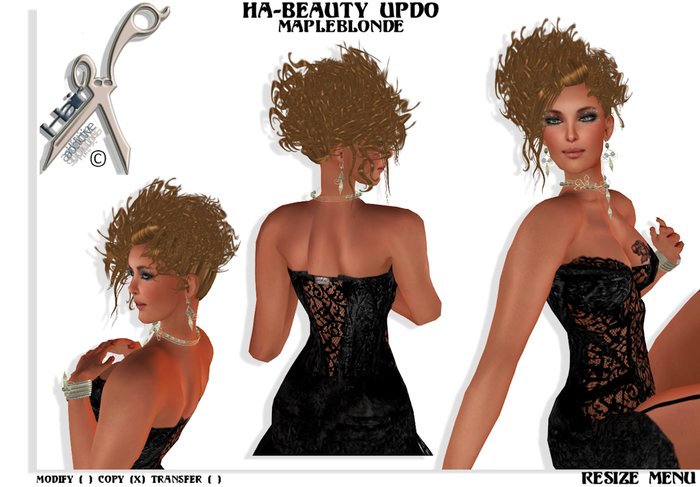 HA - BEAUTY UPDO MAPLEBLONDE BOXED