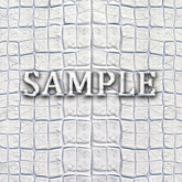 [ Crocodile leather Seamless 03 ] B