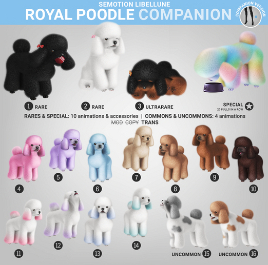 SEmotion Libellune Royal Poodle Companion RARE 02