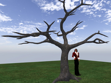 TM Dead Tree 1 - FP - Full Permissions