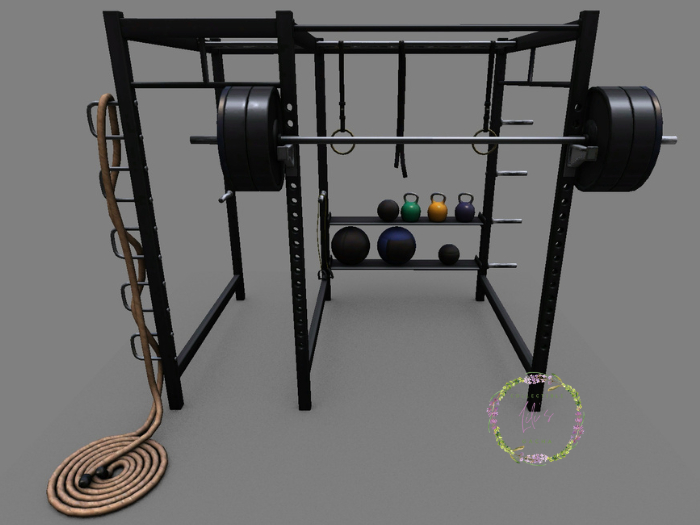 -David Heather-Crossfit Rack RARE