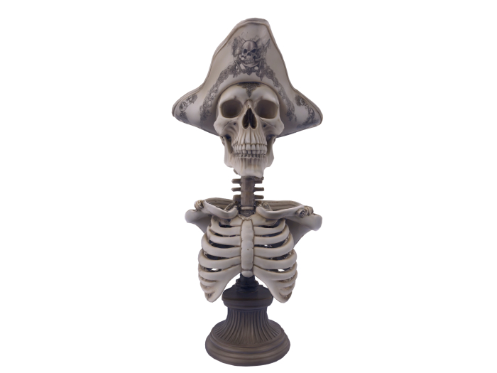 Pirate Skeleton Bust FULL PERM
