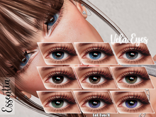 Essentia. Vela Evo / X BOM Eyes