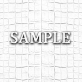 [ Crocodile leather Seamless 04 ] A