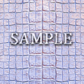 [ Crocodile leather Seamless 04 ] B