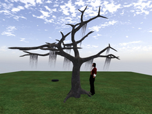 TM Dead Tree with Moss - FP - Full Permissions