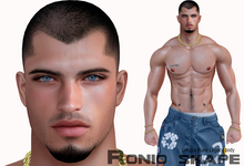 SHAPE "Ronio" Lelutka EvoX Rune 4.0