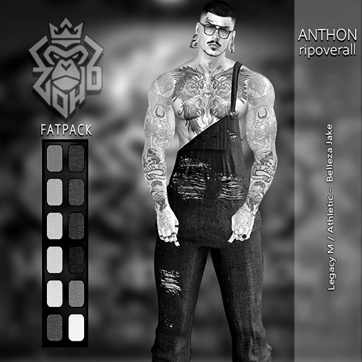 [ZH] DEMO Anthon RipOverall - DEMO (BOX)