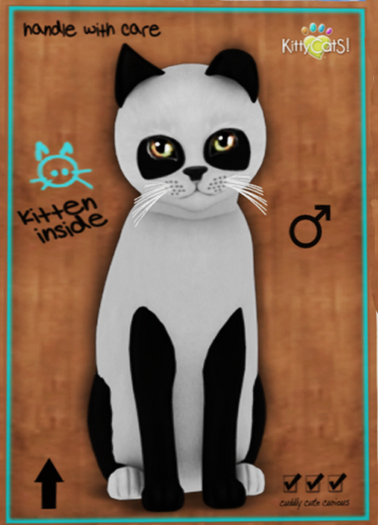 KittyCatS Box - Pandie - Ebony & Ivory boy