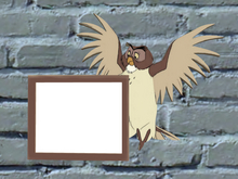Hootie Picture Frame 2025 TW