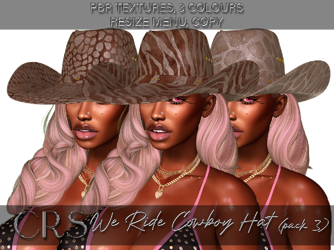 CRS WE RIDE PBR COWBOY HAT PACK 3  