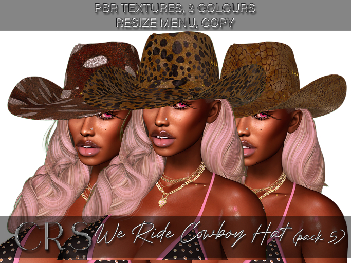 CRS WE RIDE PBR COWBOY HAT PACK 5  