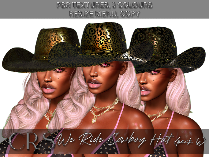 CRS WE RIDE PBR COWBOY HAT PACK 6 