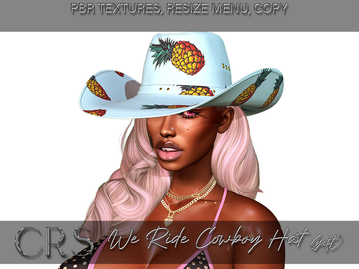 CRS WE RIDE PBR COWBOY HAT GIFT