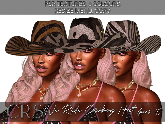 CRS WE RIDE PBR COWBOY HAT (PACK 4)