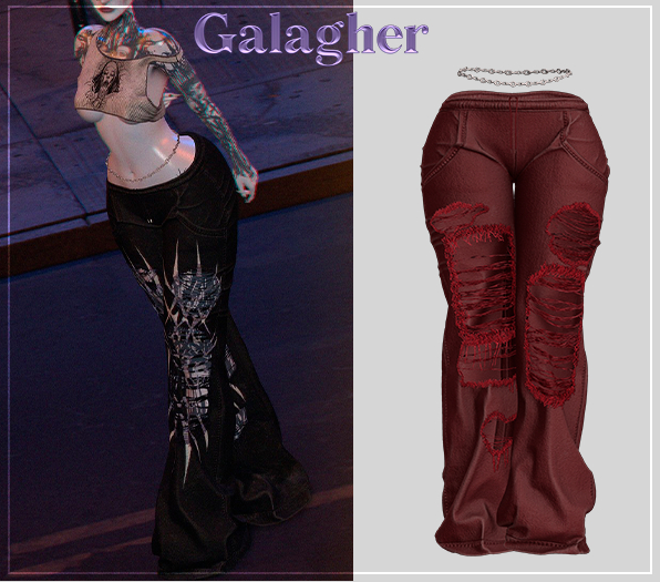 Galagher - Bely Pants Edition 4
