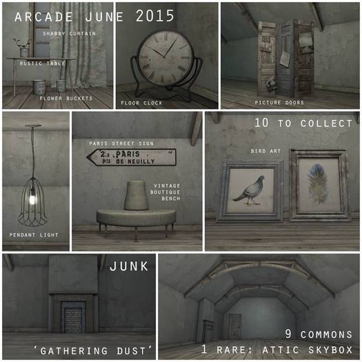 Junk Attic Skybox RARE