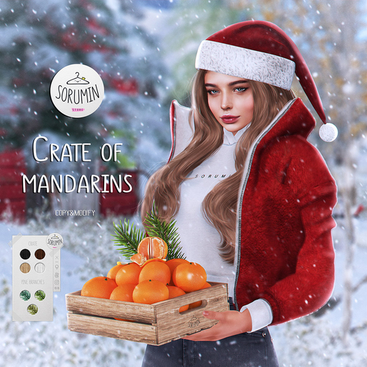 -Sorumin- Crate of mandarins (packed)