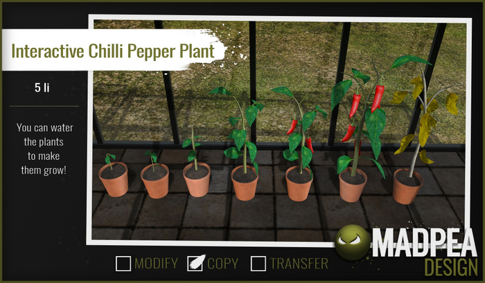 MadPea Interactive Chilli Pepper Plant