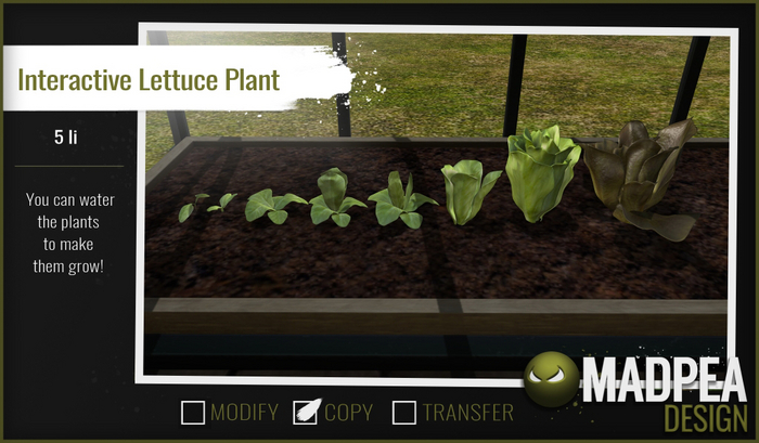 MadPea Interactive Lettuce Plant [add me!]