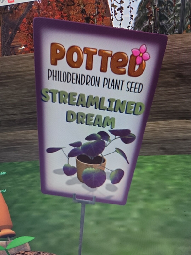Potted: Philodendron Seed: Streamlined Dream