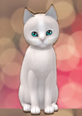 KittyCatS Box - 3T M Genesis Pearl Genesis Aqua