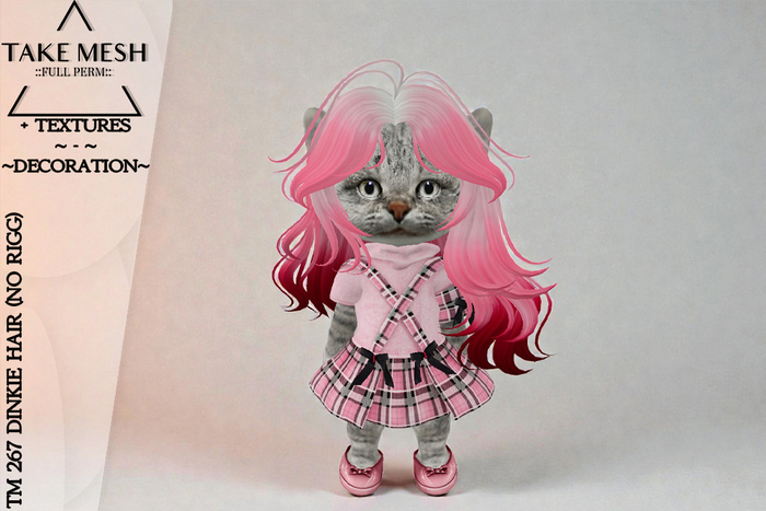! TakeMesh - TM 267 DINKIE HAIR (NO RIGG)