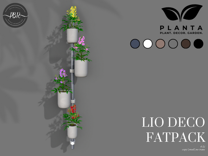 Planta - Lio Deco Fatpack