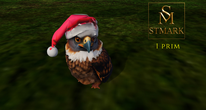 hawk christmas 