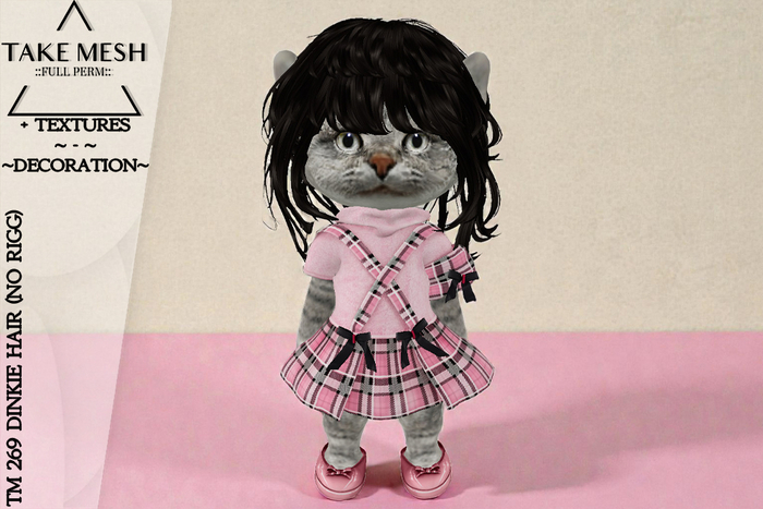 ! TakeMesh - TM 269 DINKIE HAIR (NO RIGG)