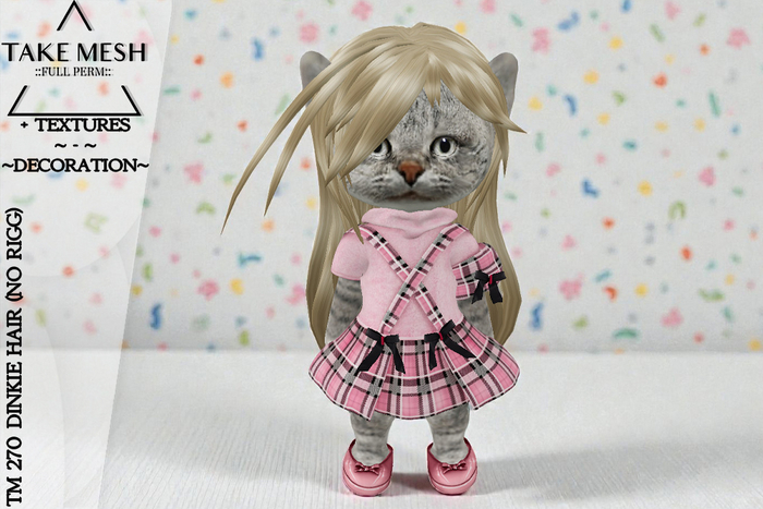 ! TakeMesh - TM 270 DINKIE HAIR (NO RIGG)