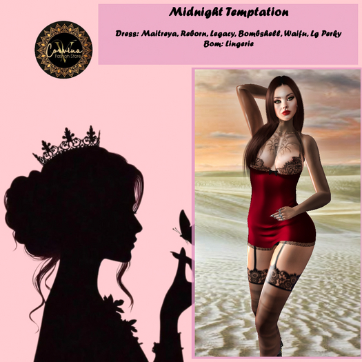 Midnight temptation Dress  - Corvina