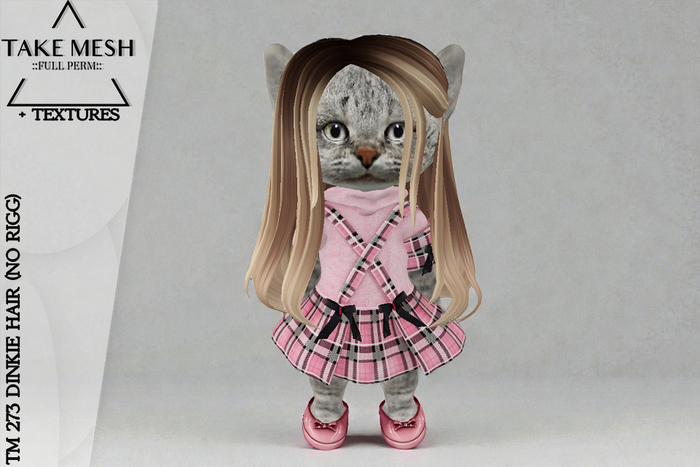 ! TakeMesh - TM 273 DINKIE HAIR (NO RIGG)