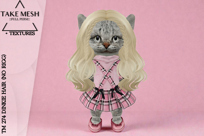 ! TakeMesh - TM 274 DINKIE HAIR (NO RIGG)