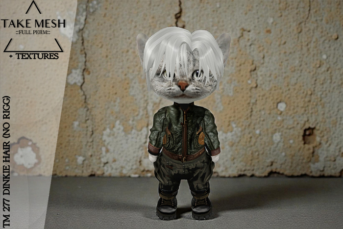 ! TakeMesh - TM 277 DINKIE HAIR (NO RIGG)