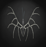 {Papillon} Fe/Sma/Nor/Fey/Butterfly/HalloweenE Cocoon