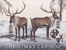 Magnetic - Christmas Caribou