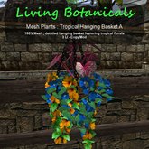 Inochi Botanicals - Tropical Hanging Basket A
