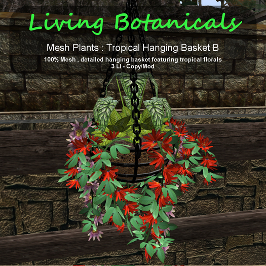 Inochi Botanicals - Tropical Hanging Basket B