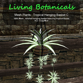 Inochi Botanicals - Tropical Hanging Basket C
