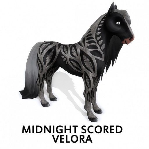 Midnight Scored Velora m