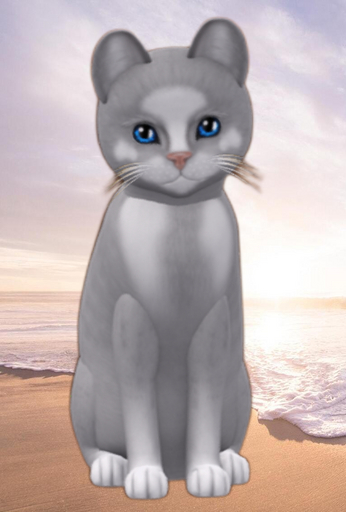 KittyCatS Box - 2T M Genesis Diamond V Genesis Water